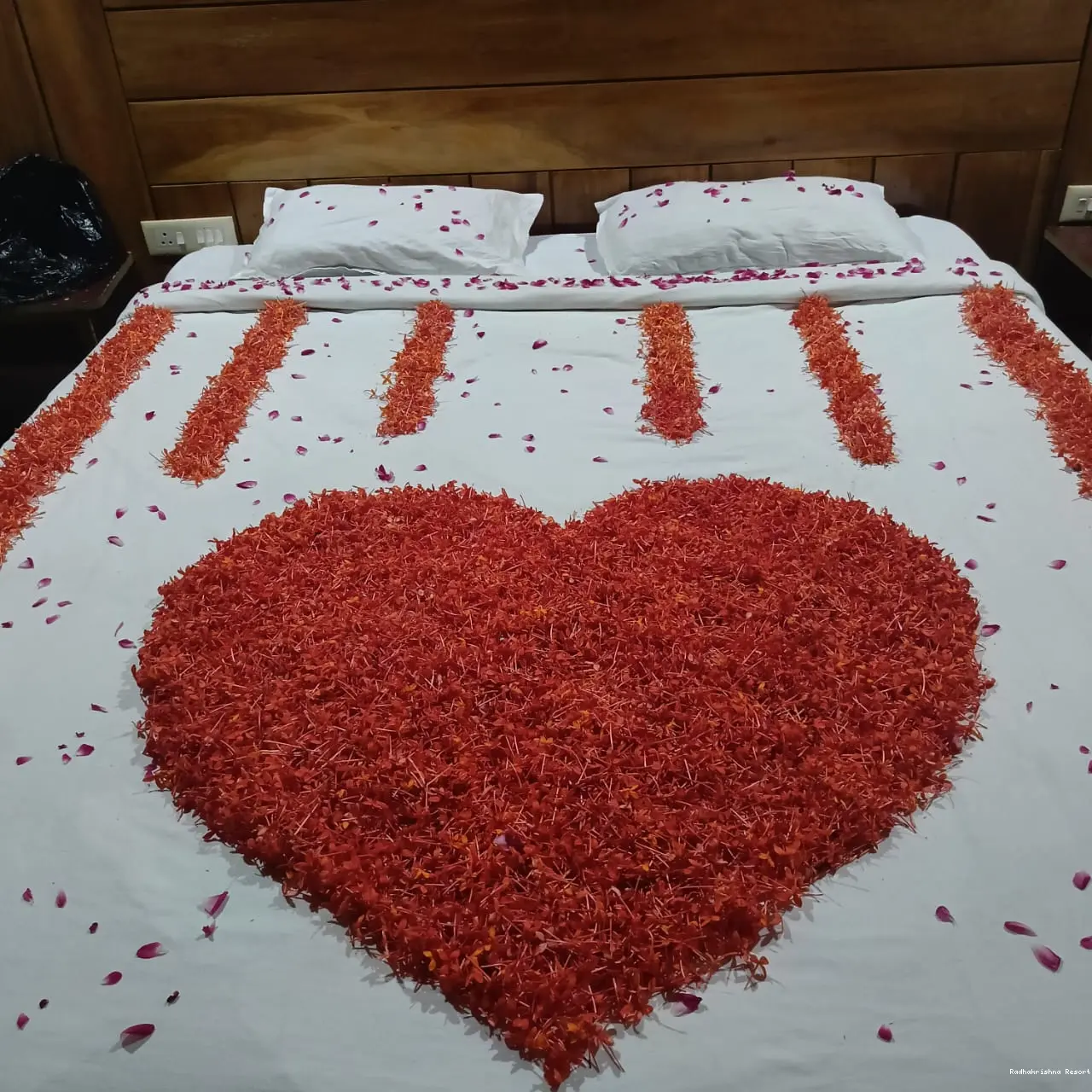 Radhakrishna Resort - WhatsApp Image 2024-11-24 at 8.21.39 PM (1).webp