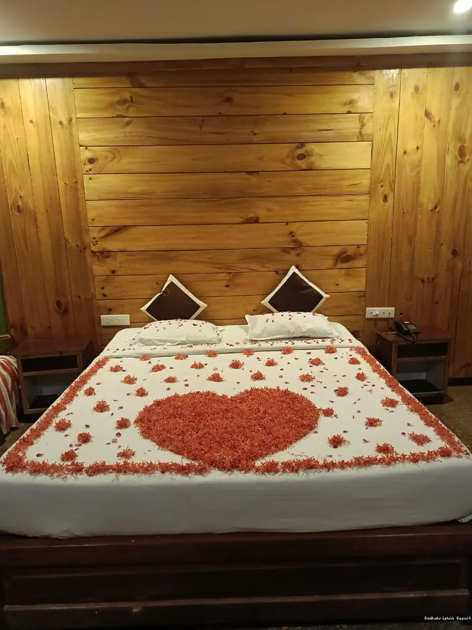 Radhakrishna Resort - WhatsApp Image 2024-12-01 at 8.37.25 PM.webp